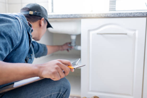 Best Plumbing Services Near Me  in Menasha, WI